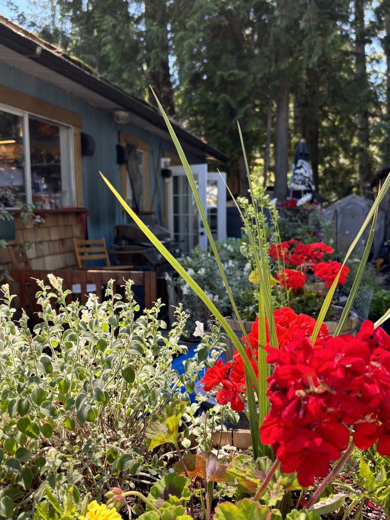 Cottage 06