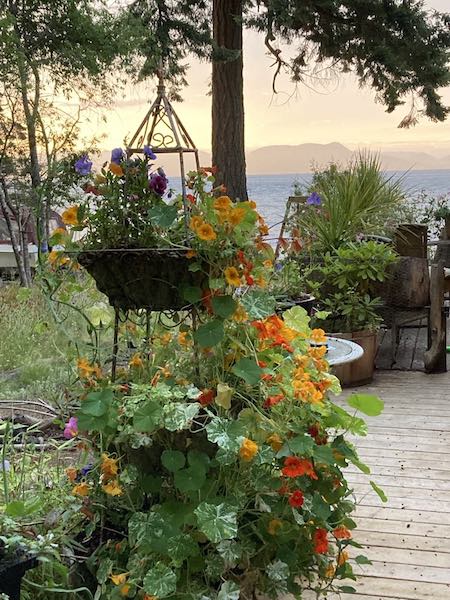 Cottage 07