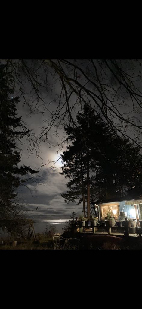 Cottage 17